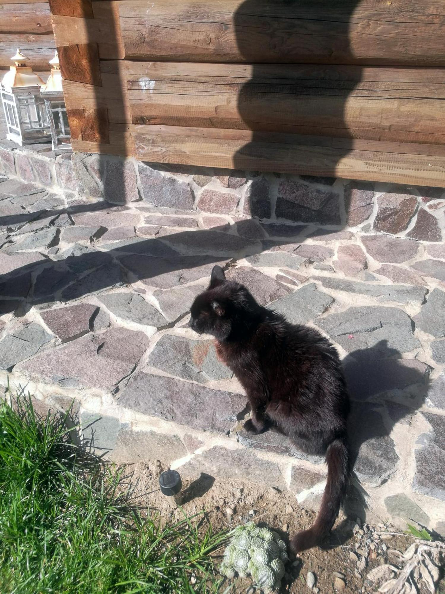 Appartamento Drevenica Zapadne Tatry S Kupacou Kadou A Krbom Žiar Esterno foto