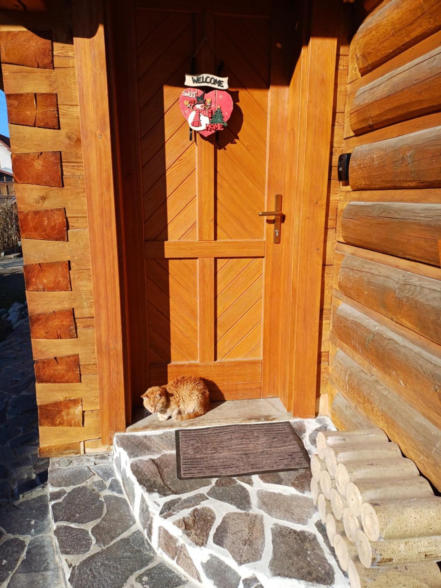 Appartamento Drevenica Zapadne Tatry S Kupacou Kadou A Krbom Žiar Esterno foto